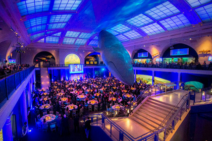 TINA’S WISH RAISES $1.6M FOR OVARIAN CANCER RESEARCH AND CELEBRATES ITS 10TH ANNIVERSARY AT THE AMERICAN MUSEUM OF NATURAL HISTORY