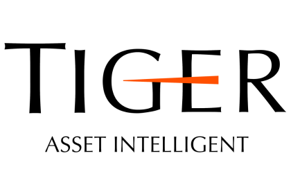 Tiger Group for website Tiger Group for website